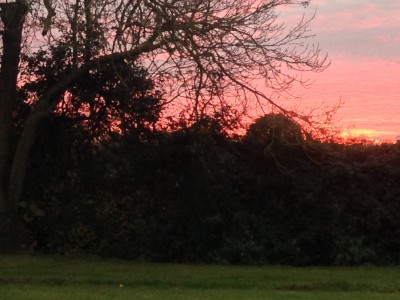 Sunset near Epping at 4.30pm;  5° outside.