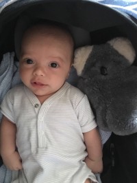 Oscar at 6 weeks with Kev the Koala.