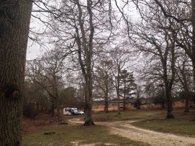 At Setthorns, disturbed only by the occasional grazing pony.