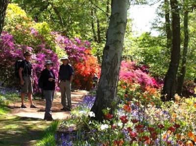 Spring at last in Windsor Great Park
