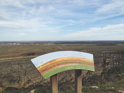 Great cycling through the vineyards of Burgundy. Here we could just make out Les Alpes in the far distance.